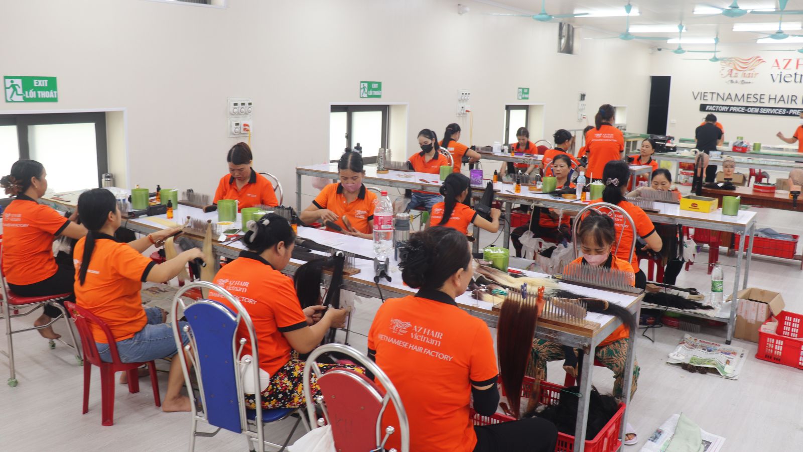 Production team sorting raw Vietnamese hair by cuticle direction – AZ Hair Vietnam factory