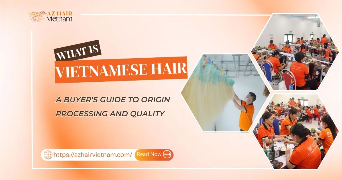 What Is Vietnamese Hair? A Buyer's Guide to Origin, Processing and Quality
