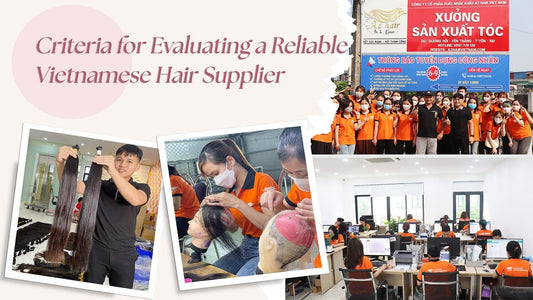 Criteria for Evaluating a Reliable Vietnamese Hair Supplier