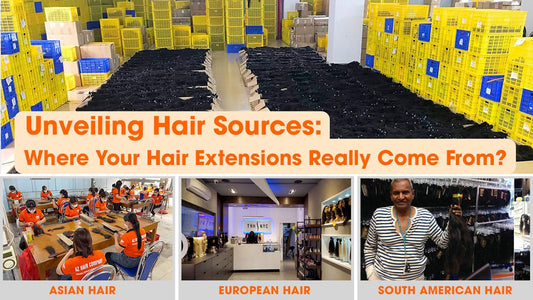 Select Unveiling Hair Sources: Where Your Hair Extensions Really Come From	 Unveiling Hair Sources: Where Your Hair Extensions Really Come From