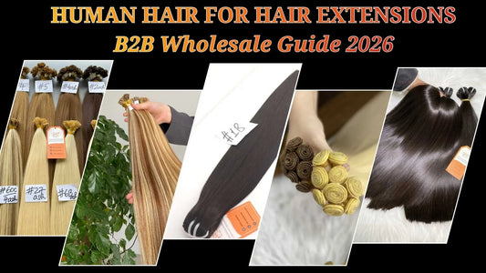 Human Hair for Hair Extensions: B2B Wholesale Guide 2026 AZ Hair Vietnam