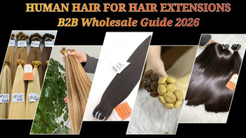 Human Hair for Hair Extensions: B2B Wholesale Guide 2026 AZ Hair Vietnam