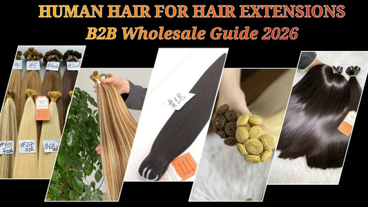 Human Hair for Hair Extensions: B2B Wholesale Guide 2026 AZ Hair Vietnam