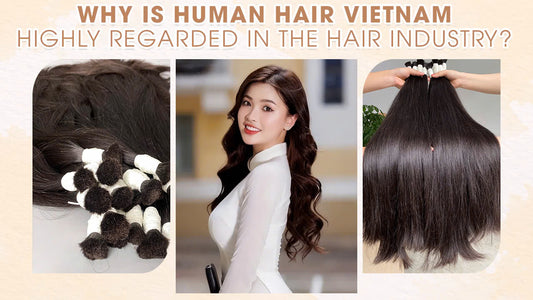Why Is Human Hair Vietnam Hair Highly Regarded in The Hair Industry?