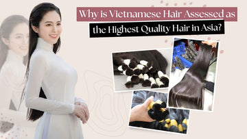 Why is Vietnamese Hair Assessed as the Highest Quality Hair in Asia?