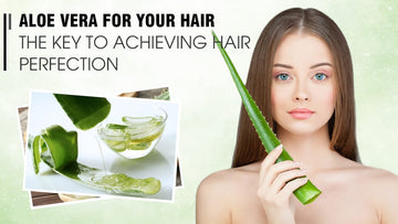 Aloe Vera for Your Hair: The Key To Achieving Hair Perfection