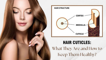Hair Cuticles: What They Are and How to Keep Them Healthy?