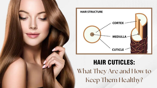Hair Cuticles: What They Are and How to Keep Them Healthy?