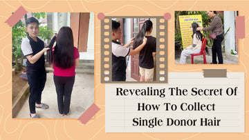 Revealing The Secret Of How To Collect Single Donor Hair
