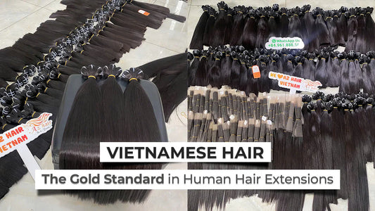 Vietnamese hair gold standard in human hair extensions