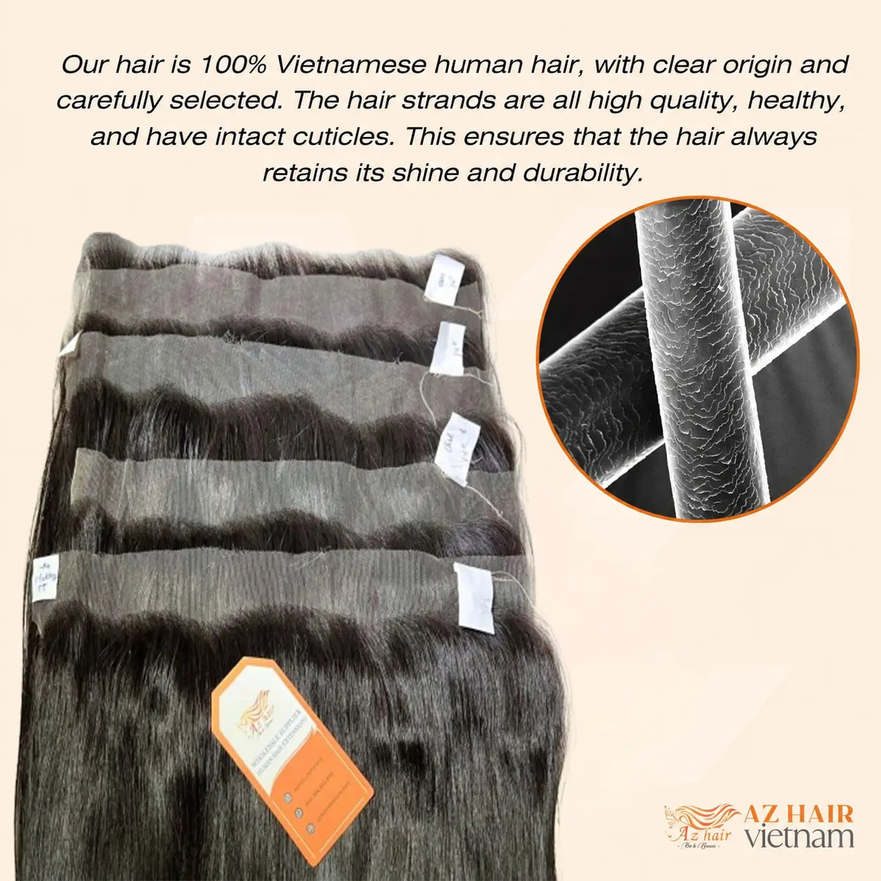 13x4 HD Lace Frontal - Bone Straight | #1B Natural Black AZ Hair Vietnam