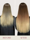 Balayage (#4ash/#60C) Bone Straight Regular Tape In Hair Extensions 100g - Raw Vietnamese Hair / AZ Hair Vietnam