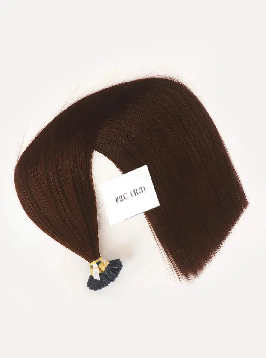 Dark Brown (#2C) Bone Straight I - Tip Hair Extensions 100g - AZ Hair Vietnam Factory / AZ Hair Vietnam