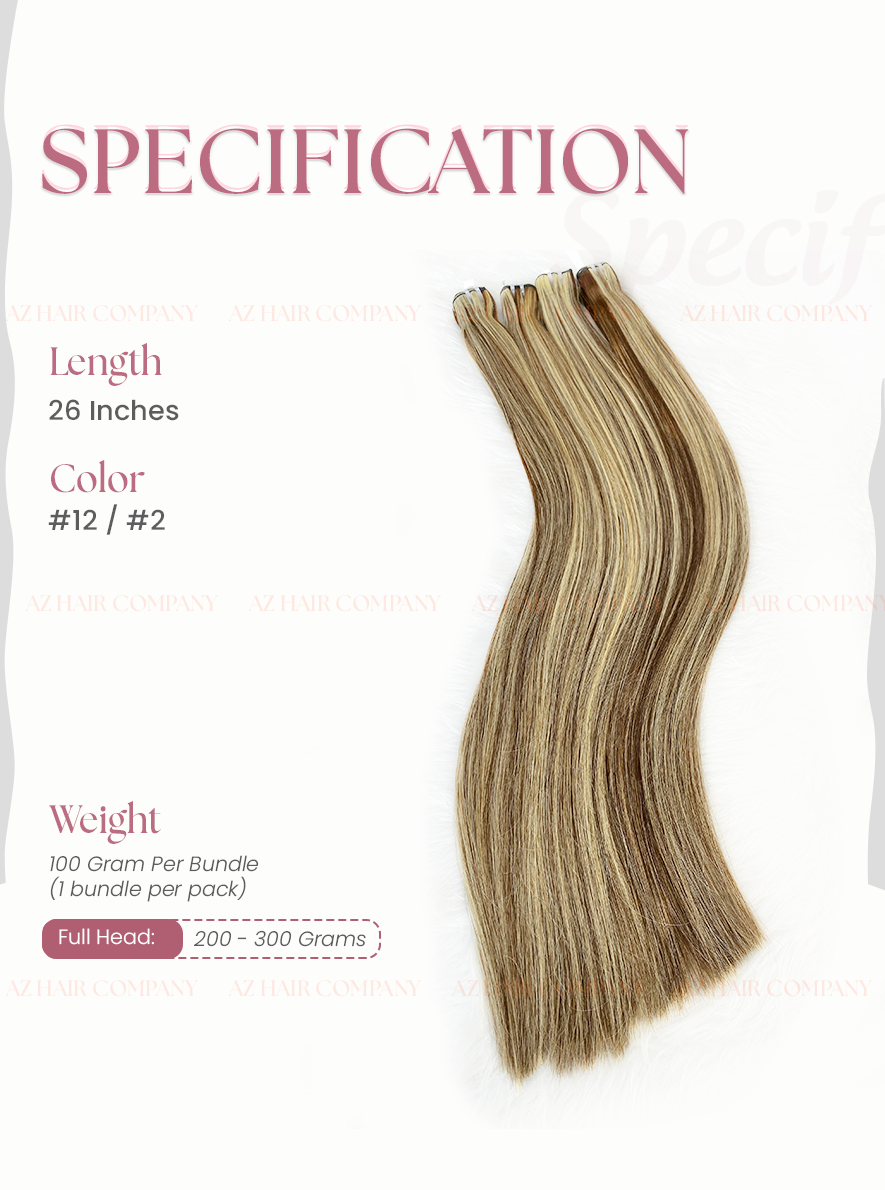 Highlight #2/12 Bone Straight Weft Hair Bundles 100g / AZ Hair Vietnam